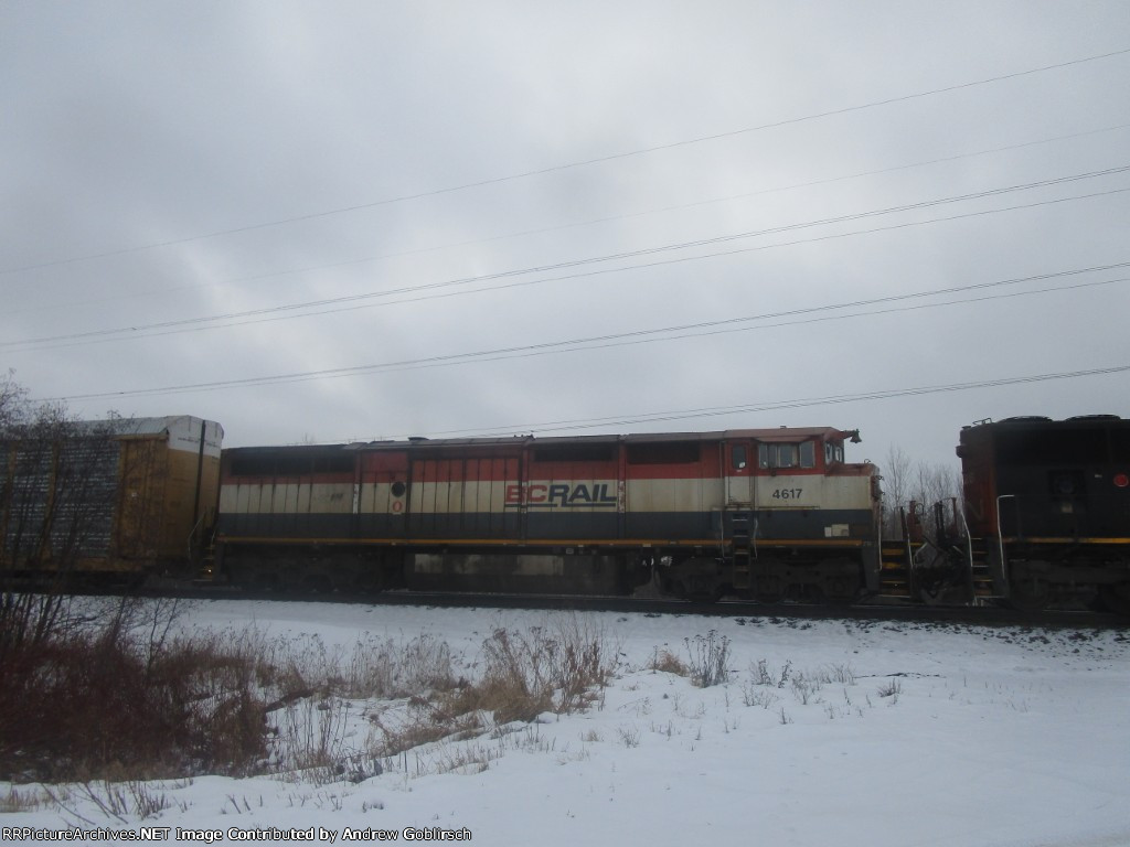 BCOL 4617